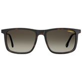 Carrera Brown Injected Sunglasses